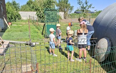 🐄🌾 Sortie Famille à la Ferme pédagogique des 4 Chemins ! 👨👩👧👦🐑
